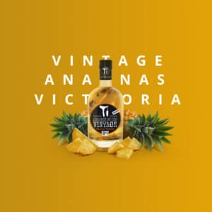 Ti Arrangés de Ced' Ananas victoria vintage