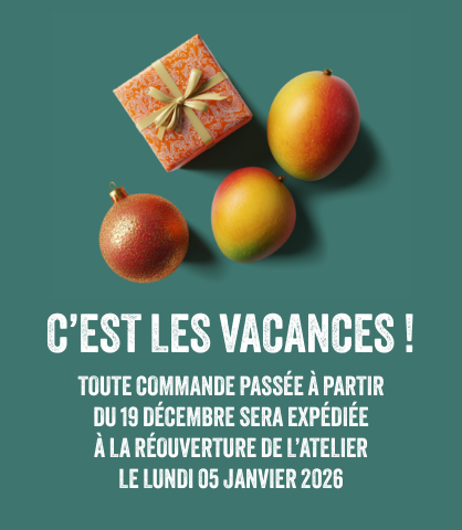 ticed-bandeau-vacances-noel-mobile