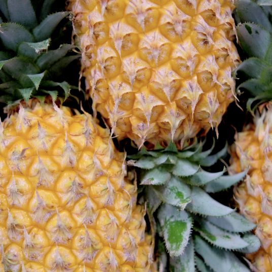 ananas