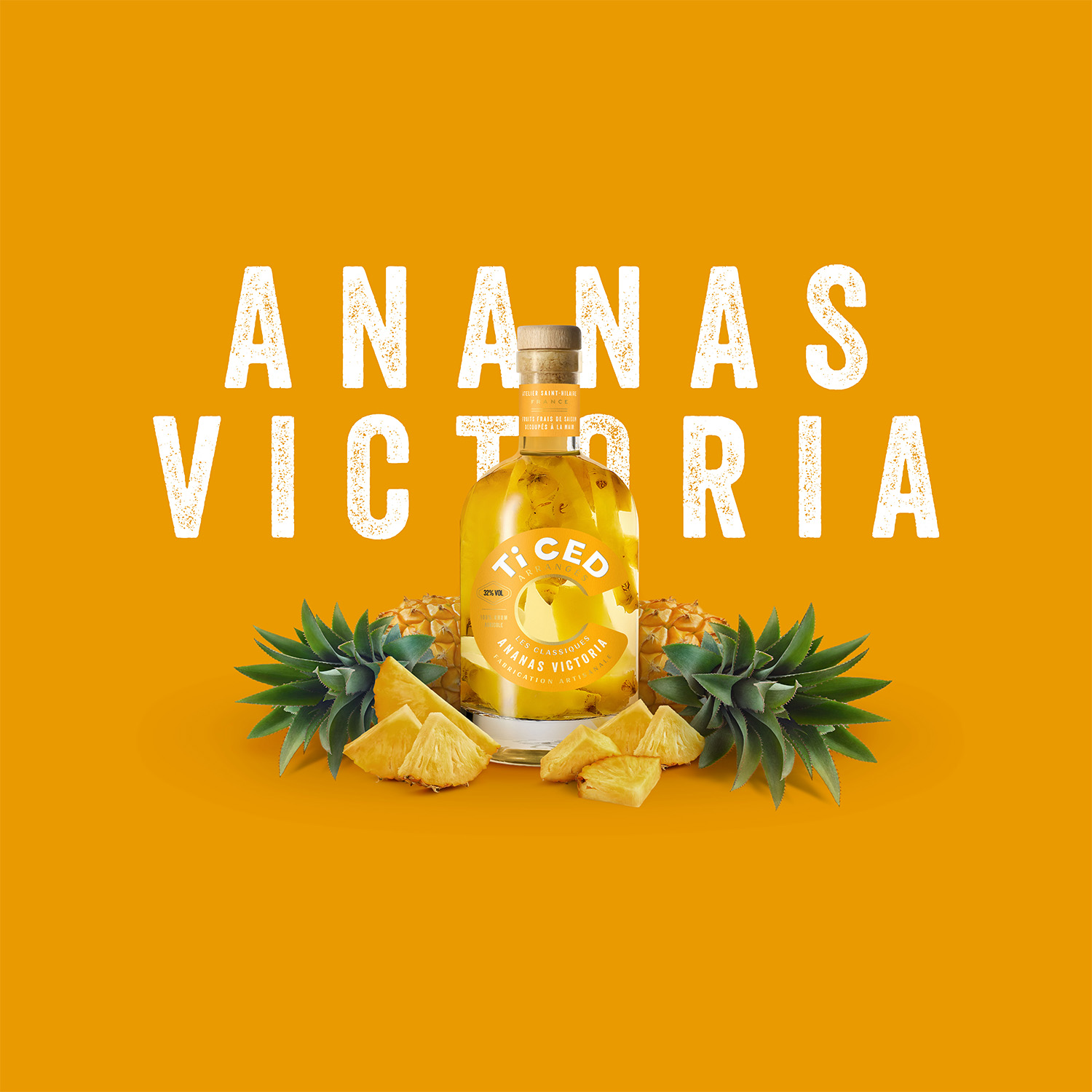 ticed-classique-ananas-victoria-1500px