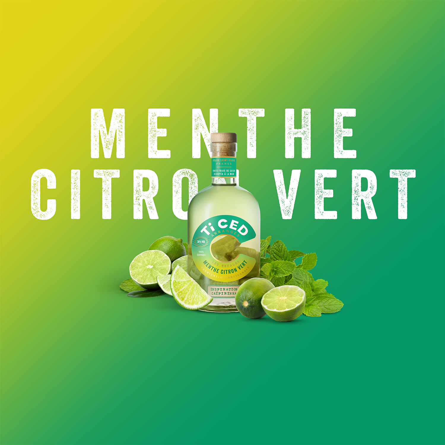 ticed-escale-menthe-citron-vert-1500px