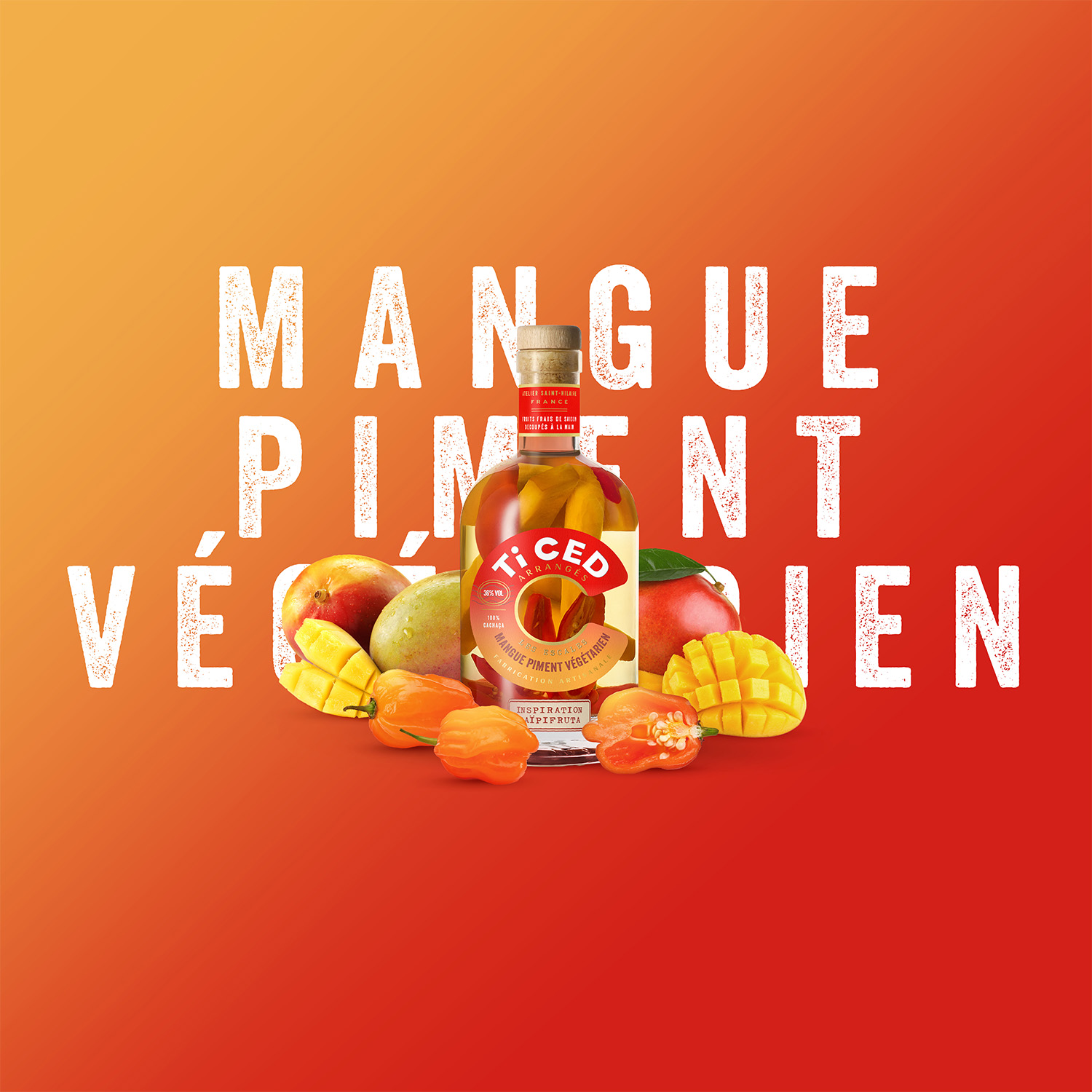ticed-escales-mangue-piment-vegetarien-1500px