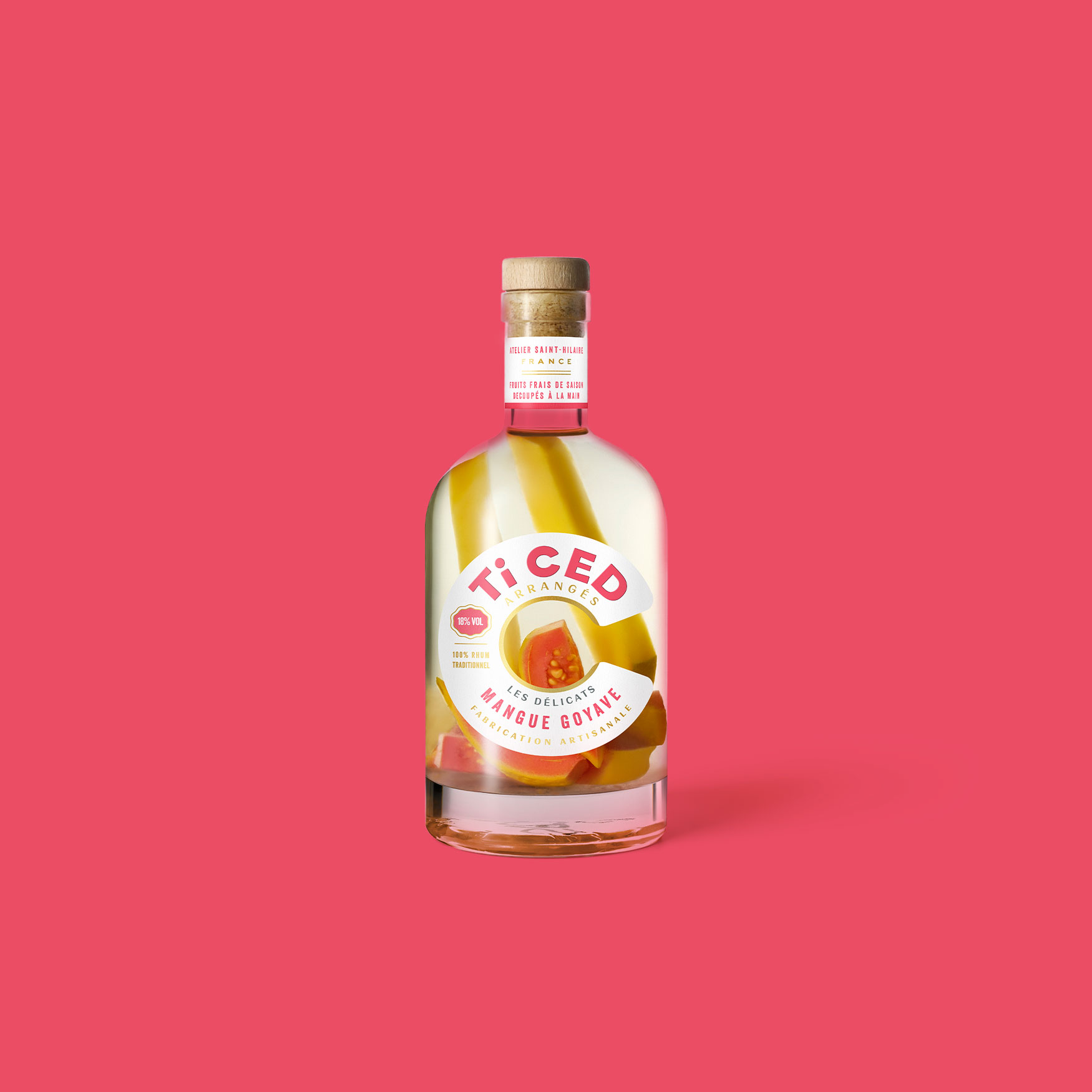 ticed-lanceurs-delicats-square