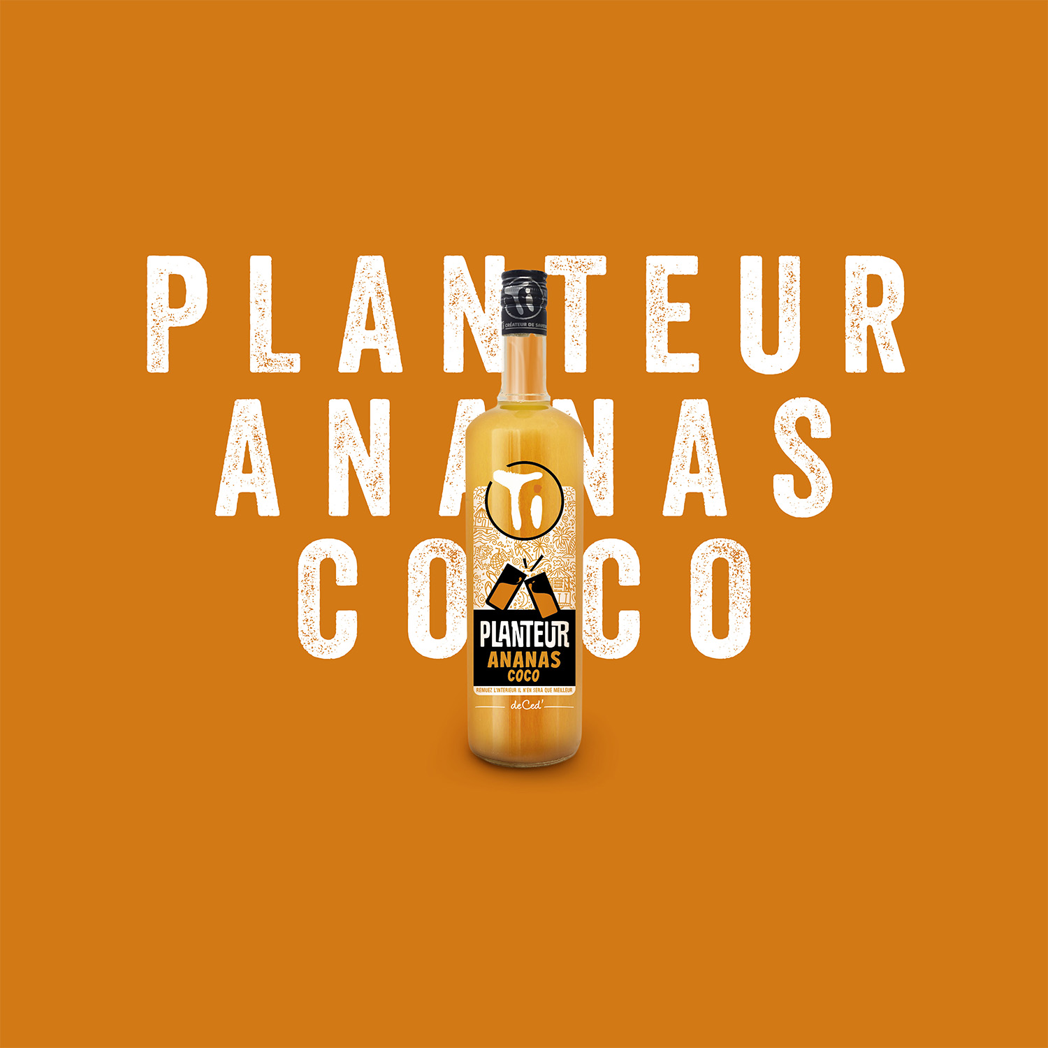 ticed-planteur-ananas-coco-1500px