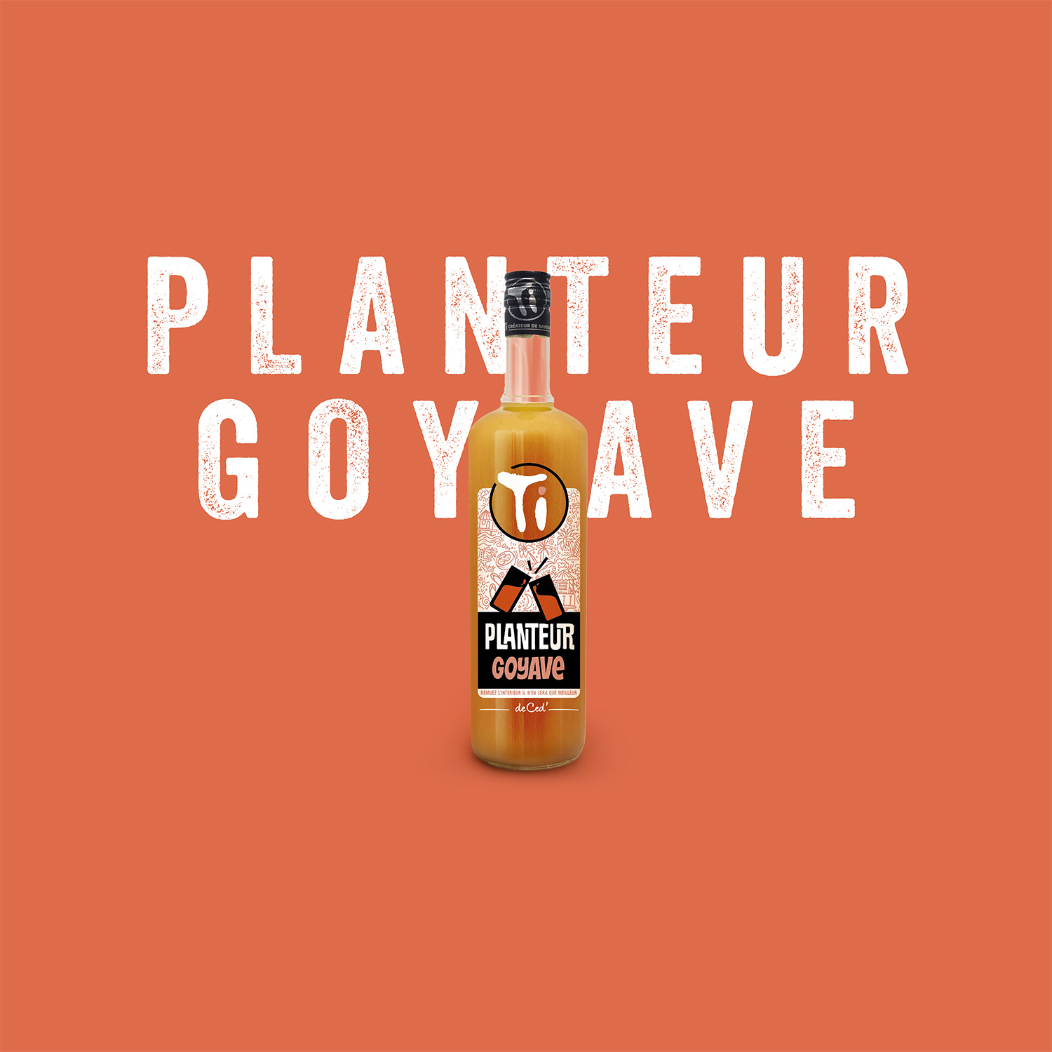 ticed-planteur-goyave-1500px
