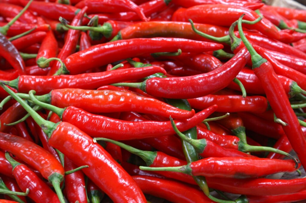 Le piment d’Espelette, symbole du Sud-Ouest, apporte un relief subtil, une chaleur maîtrisée qui sublime l’ensemble sans jamais masquer les autres saveurs.